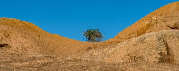 Namibiano Rocce Spitzkoppe Damaraland Paesaggio Con Albero — Foto Stock