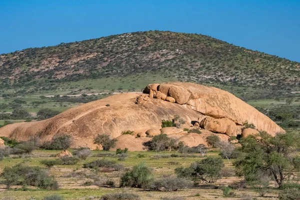 Namibische Felsen Der Spitzkoppe Damaraland Landschaft Mit Einem Baum — Stockfoto