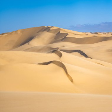 Namibya, Namib Çölü, sarı kum tepelerinin grafiksel manzarası