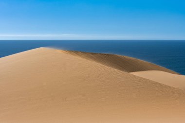 Namibya, Namib Çölü, denize düşen sarı kum tepelerinin manzarası.
