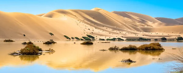 Namibia Reflejo Las Dunas Desierto Namib Lago Temporada Lluvias Hermoso — Foto de Stock