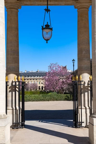 Paris Der Palais Royal Innenhof Mit Säulen Und Die Blühenden — Stockfoto