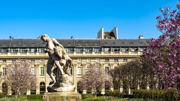 Paris, Palais-Royal, Bahçede açan pembe manolyalar