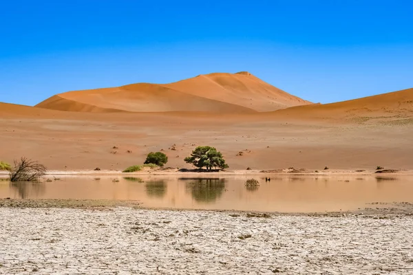Namibië Reflectie Van Duinen Namibische Woestijn Meer Het Regenseizoen Prachtig — Stockfoto
