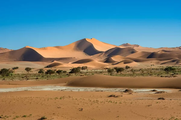 Namibië Namibische Woestijn Grafisch Landschap Van Gele Duinen Regenseizoen — Stockfoto