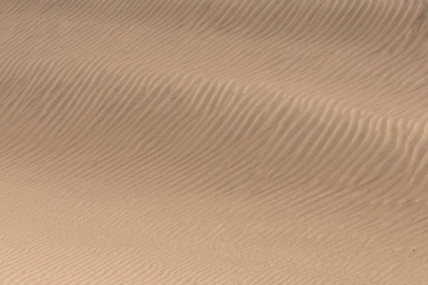 Namibia Linjer Korn Sand Sanddynerna Bakgrund — Stockfoto