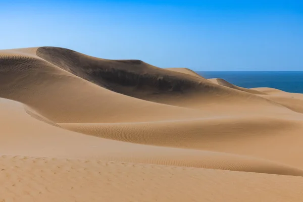 Namibia Namib Desert Landscape Yellow Dunes Falling Sea Wind Blowing — Stock Photo, Image