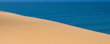 Namibya, Namib Çölü, denize düşen sarı kum tepelerinin manzarası.