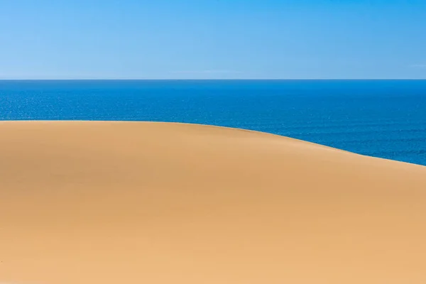 Namibie Désert Namibien Paysage Dunes Jaunes Tombant Dans Mer — Photo