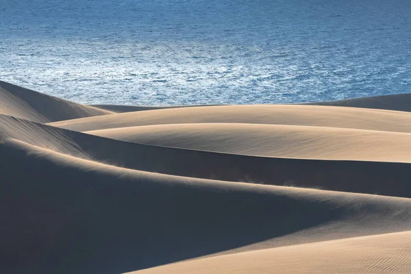 Namibie Désert Namibien Paysage Dunes Jaunes Tombant Dans Mer — Photo