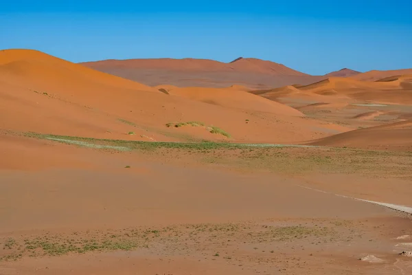 Namibië Namibische Woestijn Gras Rode Duinen — Stockfoto