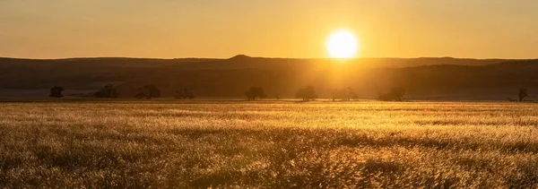 Namibya, Namib Çölü 'ndeki günbatımının manzarası, Ölü Vadi' deki vahşi manzara.