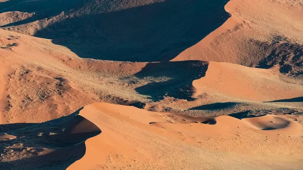 Namibië Uitzicht Namibische Woestijn Wild Landschap Panorama Het Regenseizoen — Stockfoto