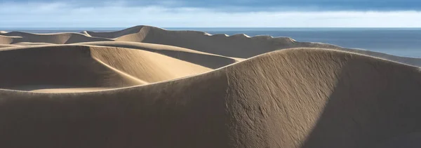 Namibie Désert Namibien Paysage Dunes Jaunes Tombant Dans Mer — Photo