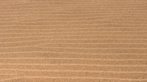 Намибия Песчинки Дюнах Текстура Фон — стоковое фото