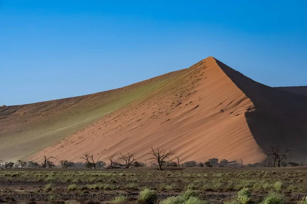 Namibya Namib Çölü Sarı Kum Tepelerinin Grafik Manzarası Yağmur Mevsimi — Stok fotoğraf