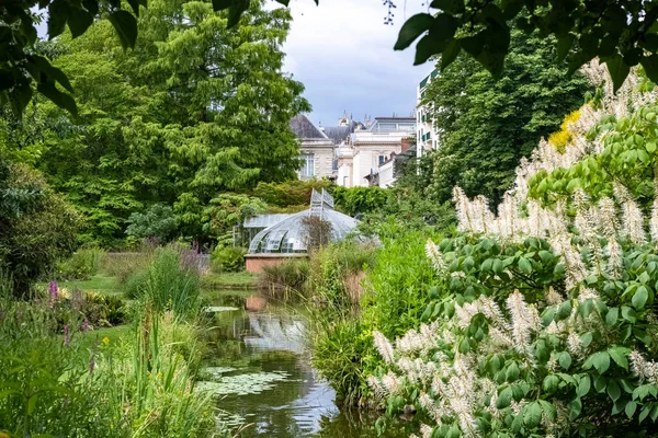 南特在法国 温室在Jardin Des Plantes 一个花园在城市 — 图库照片