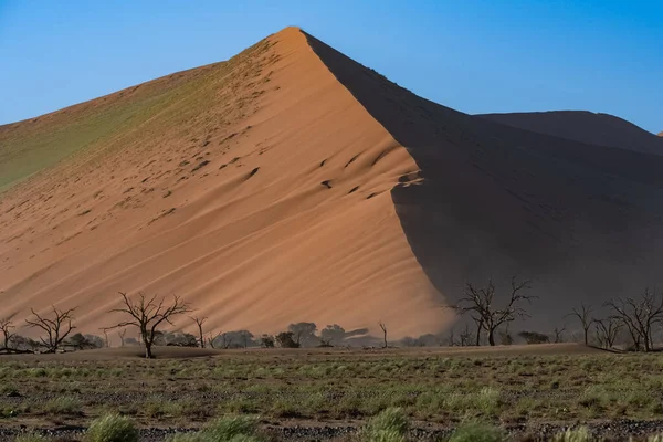 Namibia Pustynia Namib Graficzny Krajobraz Żółtych Wydm Pora Deszczowa — Zdjęcie stockowe