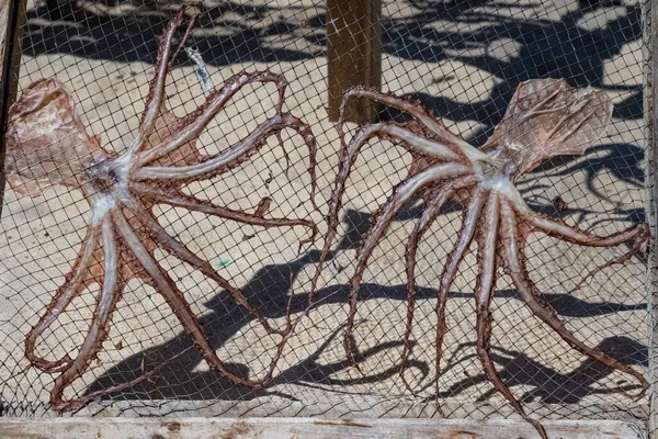 Nazare Portugal Salted Octopus Sold Beach Traditional Market Stall — Stockfoto