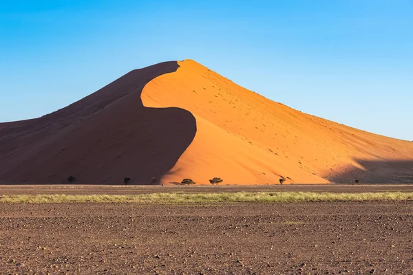 Namibia Pustynia Namib Graficzny Krajobraz Żółtych Wydm Pora Deszczowa — Zdjęcie stockowe