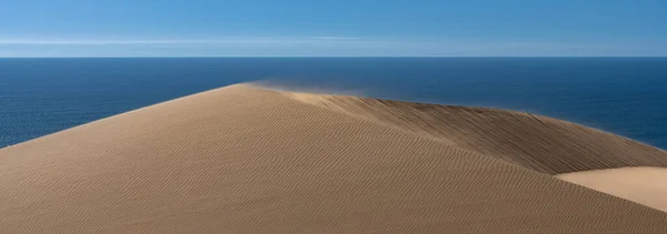 Namibia Die Wüste Namib Landschaft Aus Gelben Dünen Die Ins — Stockfoto