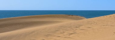 Namibya, Namib Çölü, denize düşen sarı kum tepelerinin manzarası.