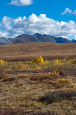 Kanada 'da Yukon, Tombstone parkının sonbaharında vahşi bir manzara.
