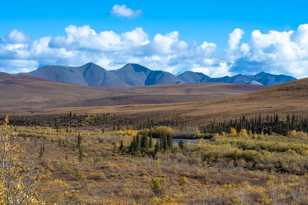 Yukon Kanada Wilde Landschaft Herbst Des Tombstone Parks — Stockfoto
