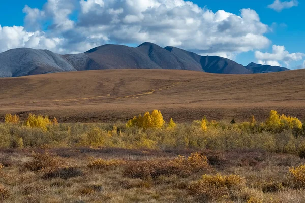 Yukon Kanadě Divoká Krajina Podzim Tombstone Parku — Stock fotografie