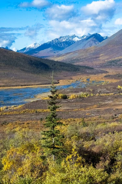 Yukon Kanada Wilde Landschaft Herbst Des Tombstone Parks — Stockfoto