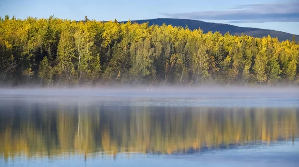 Yukon Kanadě Divoká Krajina Podzim Tombstone Parku Odraz Stromů Jezeře — Stock fotografie