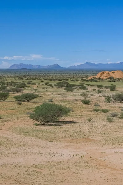Namibian Marile Roci Ale Spitzkoppe Din Damaraland Peisaj Copac — Fotografie, imagine de stoc