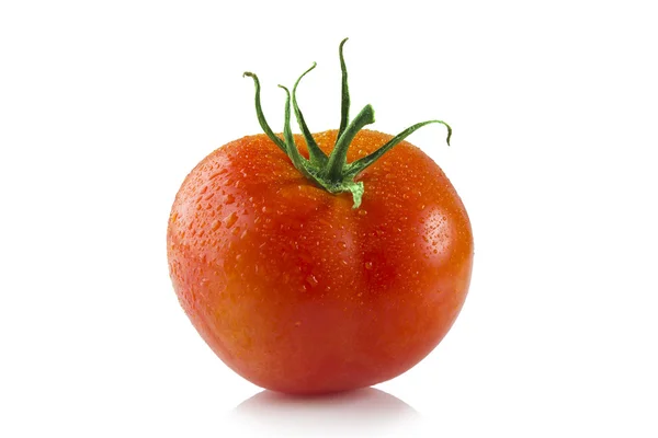 Tomate isoliert auf weißem Hintergrund. — Stockfoto