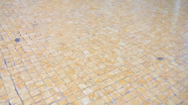 Pavé brun clair pavé de Bologne avec texture rugueuse — Video