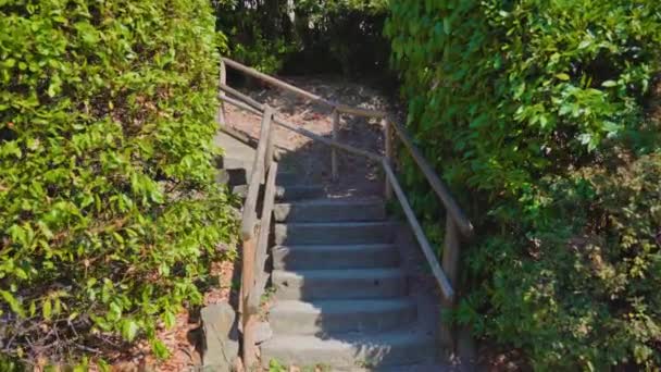 Старая лестница с деревянными поручнями поднимается мимо зеленых растений — стоковое видео