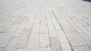 Çimenler, şehir taşının eski gri fayanslarının arasında büyüyor.