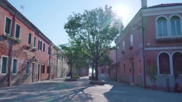 Grote bomen groeien in het midden van de straat bestrating in Murano — Stockvideo