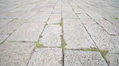 Şehrin eski gri kaldırımlarında çimenler filizleniyor.