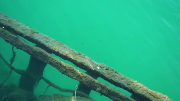 Části starého dřevěného plotu utopené pod vodou v Bled Lake — Stock video