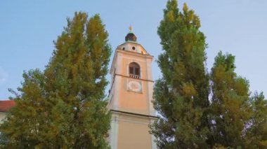 Ljubljana 'daki yüksek ağaçlar arasındaki kilise çan kulesine bak.