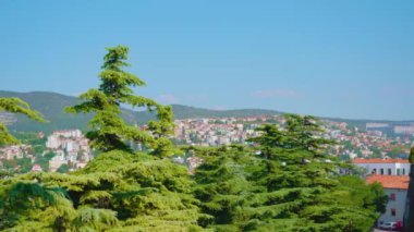 Forestry Hill 'den eski şehrin etkileyici manzarası açılıyor.