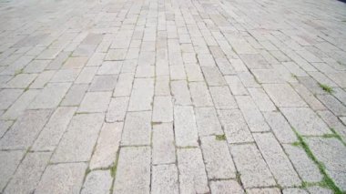 Çatlaklar içinde yeşil çimenler filizlenen eski asfalt levhalar.