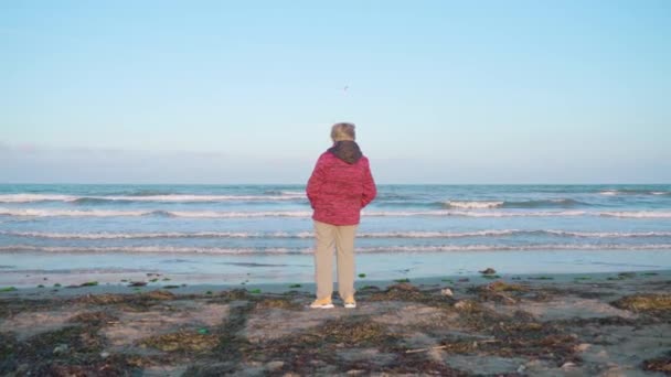 Mujer mira olas de mar onduladas de pie en la playa húmeda — Vídeos de Stock