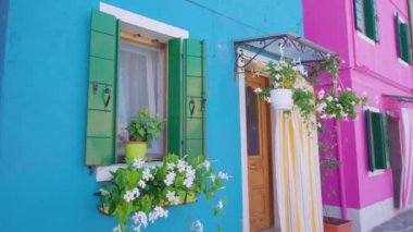 Çiçek saksıları Burano 'daki renkli evin pencere eşiğinde duruyor.