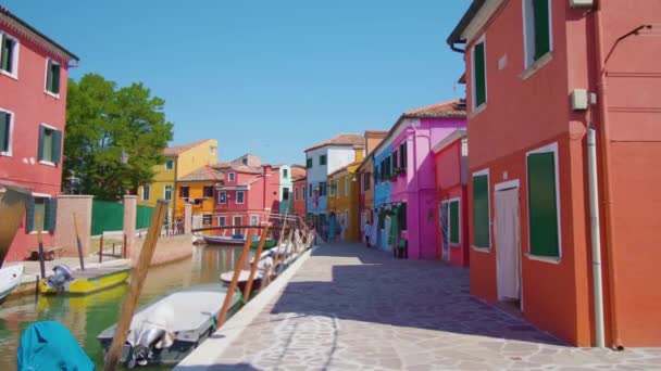Rows of colored houses along Burano water channel in morning — Stock Video