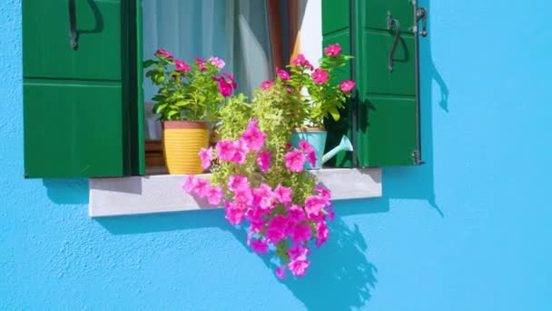 Blommor i krukor står på fönsterbrädan av hus i Burano — Stockvideo