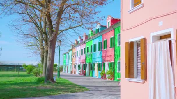 Bunte Häuser stehen neben kahlen Bäumen in Burano — Stockvideo