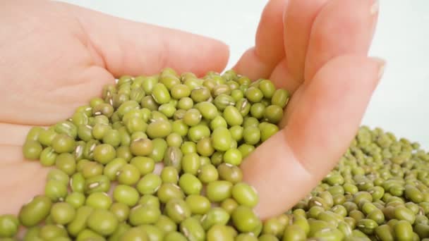 Handful of bright green peas in palm put on heap macro — Stock Video