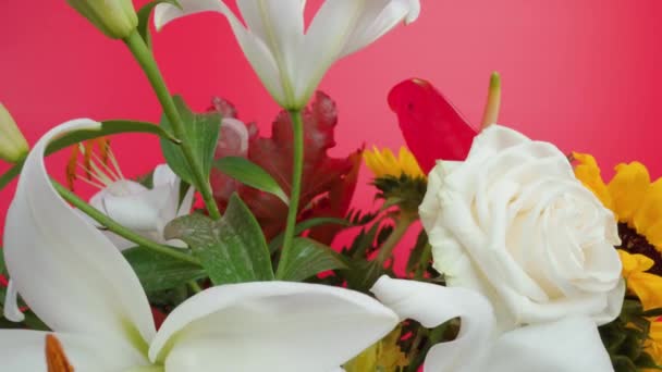 Ramo de flores con vegetación contra la pared del estudio de color rosa brillante — Vídeo de stock