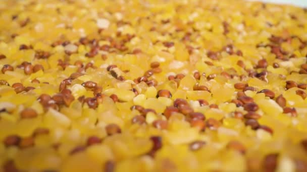 Суміш насіння кукурудзи та чіа в добре освітленій студійній кімнаті — стокове відео